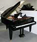 Flgel-Grotrian-Steinweg-160-schwarz-51630-1-b